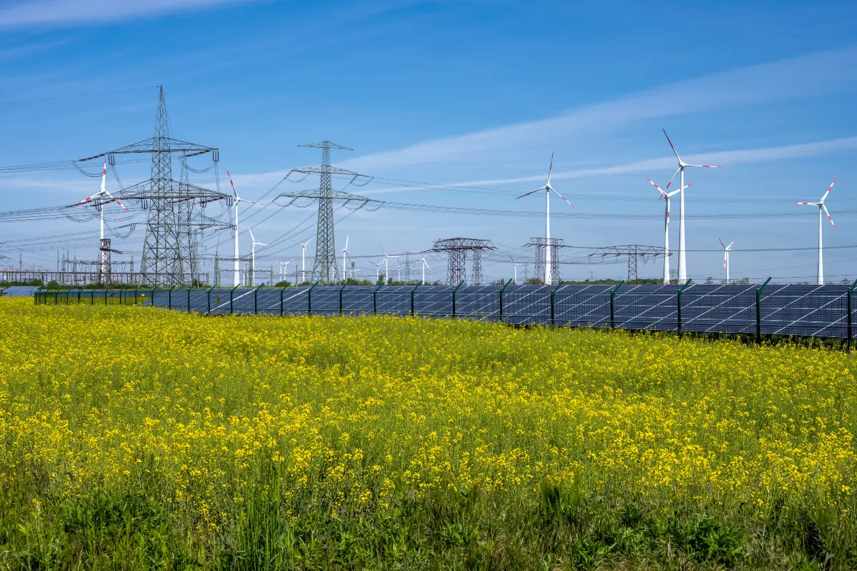 linha-base-energetica