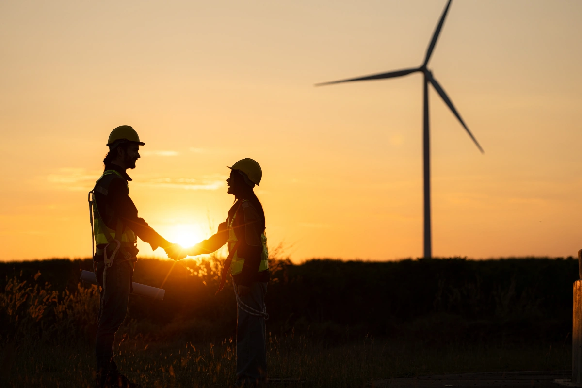 Fornecedores de Energia Mercado Livre